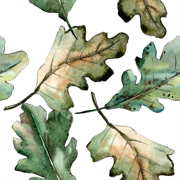 Podzimní zelený dubový list. Listy rostlin Botanická zahrada květinové listy. Vzor bezešvé pozadí. — Stock fotografie