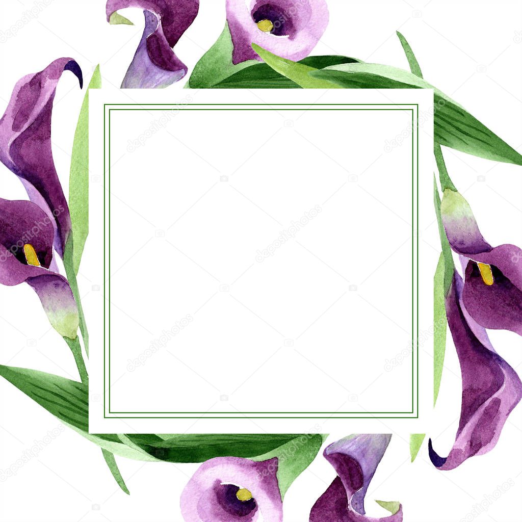 Watercolor purple callas flower. Floral botanical flower. Frame border ornament square.