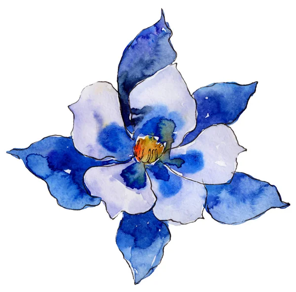 Acquerello Blu Aquilegia Fiore Fiore Botanico Floreale Elemento Illustrazione Isolato — Foto Stock