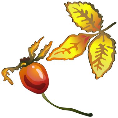 Vektör sonbahar sarı Kuşburnu yaprakları. Yaprak bitki botanik bahçe çiçek yaprakları. İzole illüstrasyon öğesi. Arka plan, doku, sarıcı desen, çerçeve veya sınır vektör yaprak.