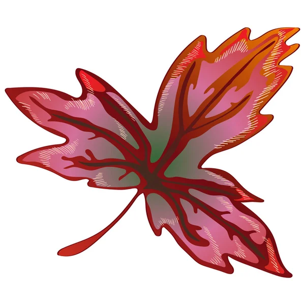Вектор Осінь Жовте Червоне Листя Листя Рослини Ботанічний Сад Квіткового — стоковий вектор