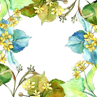 Suluboya linden yeşil yaprakları. Yaprak bitki botanik bahçe çiçek yaprakları. Çerçeve kenarlığı süsleme Meydanı. Aquarelle yaprak için arka plan, doku, sarıcı desen, çerçeve veya kenarlık.