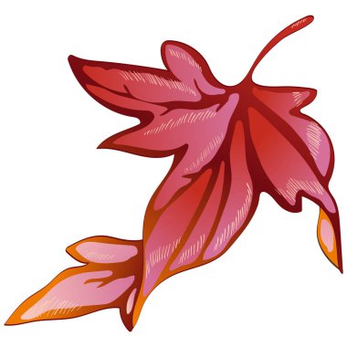 Vektör sonbahar sarı ve kırmızı yaprakları. Yaprak bitki botanik bahçe çiçek yaprakları. İzole illüstrasyon öğesi. Arka plan, doku, sarıcı desen, çerçeve veya sınır vektör yaprak.