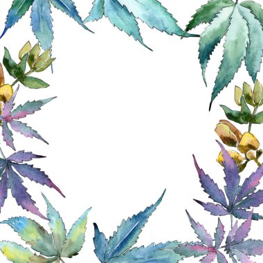 Sulu boya yeşil esrar bırakır. Yaprak bitki botanik bahçe çiçek yaprakları. Çerçeve kenarlığı süsleme Meydanı. Aquarelle yaprak için arka plan, doku, sarıcı desen, çerçeve veya kenarlık.