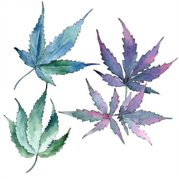 Watercolor Green Cannabis Leaves Leaf Plant Botanical Garden Floral Foliage — Stock Photo, Image