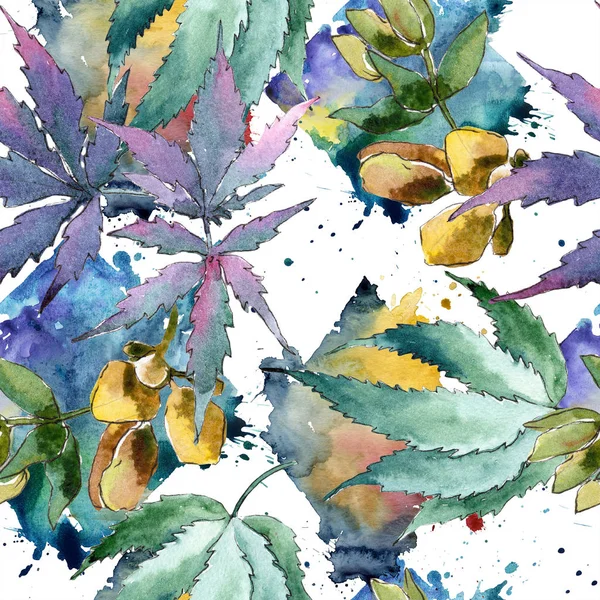 Aquarel Groene Cannabis Bladeren Blad Plant Botanische Tuin Floral Gebladerte — Stockfoto