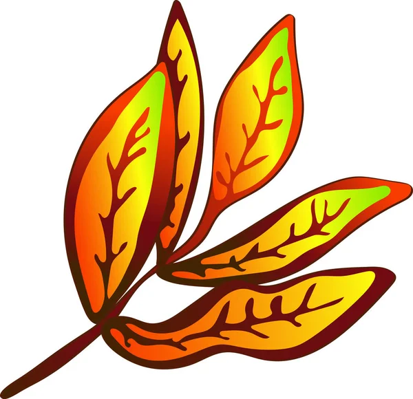 Векторні Осінні Жовті Листя Сорбуса Червоні Ягоди Листя Рослини Ботанічний — стоковий вектор