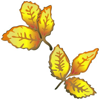 Vektör sonbahar sarı Kuşburnu yaprakları. Yaprak bitki botanik bahçe çiçek yaprakları. İzole illüstrasyon öğesi. Arka plan, doku, sarıcı desen, çerçeve veya sınır vektör yaprak.