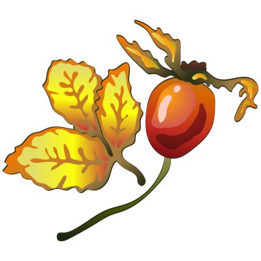 Vektör sarı Kuşburnu yaprakları sonbahar ve bitki. Yaprak bitki botanik bahçe çiçek yaprakları. İzole illüstrasyon öğesi. Arka plan, doku, sarıcı desen, çerçeve veya sınır vektör yaprak.