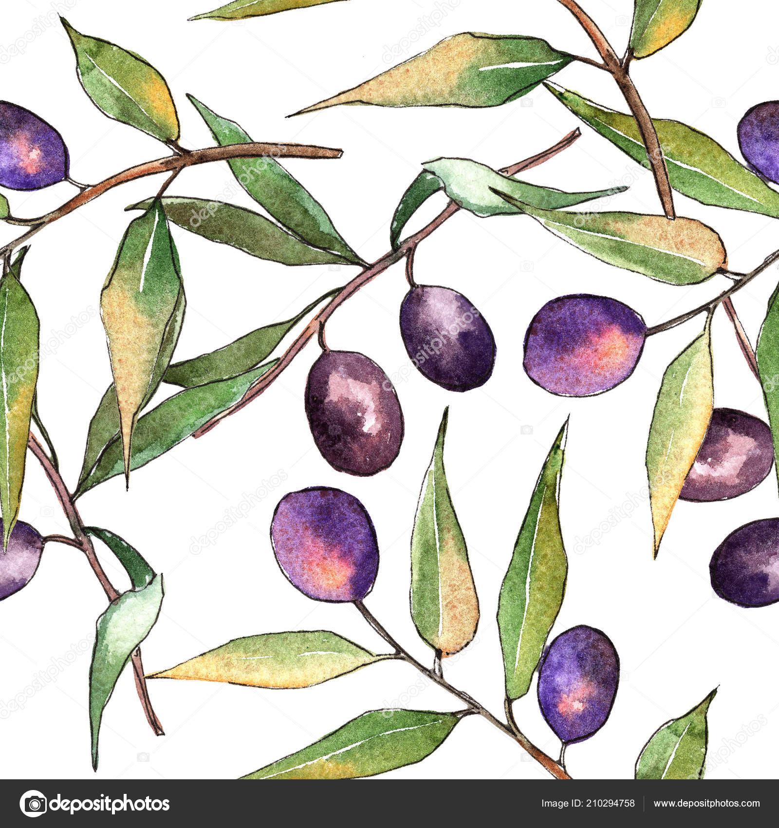 Page 2  Olive Tree Images  Free Download on Freepik