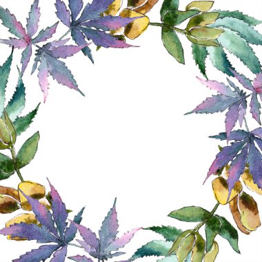 Sulu boya yeşil esrar bırakır. Yaprak bitki botanik bahçe çiçek yaprakları. Çerçeve kenarlığı süsleme Meydanı. Aquarelle yaprak için arka plan, doku, sarıcı desen, çerçeve veya kenarlık.