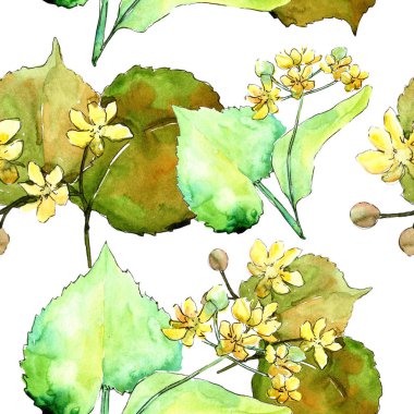 Suluboya linden yeşil yaprakları. Yaprak bitki botanik bahçe çiçek yaprakları. Sorunsuz arka plan deseni. Kumaş duvar kağıdı yazdırma doku. Aquarelle yaprak için arka plan, doku, sarıcı desen.