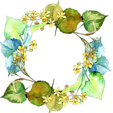 Suluboya linden yeşil yaprakları. Yaprak bitki botanik bahçe çiçek yaprakları. Çerçeve kenarlığı süsleme Meydanı. Aquarelle yaprak için arka plan, doku, sarıcı desen, çerçeve veya kenarlık.