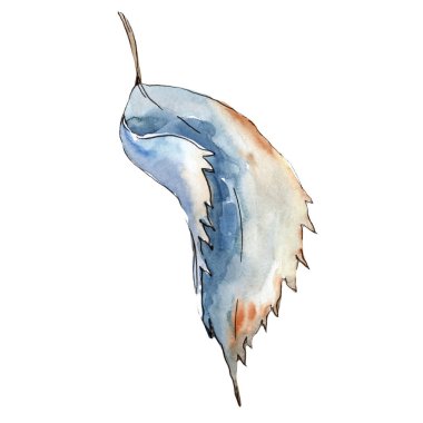 Tatlı kestane bırakır. Yaprak bitki botanik bahçe çiçek yaprakları. İzole illüstrasyon öğesi. Aquarelle yaprak için arka plan, doku, sarıcı desen, çerçeve veya kenarlık.