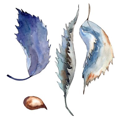 Tatlı kestane bırakır. Yaprak bitki botanik bahçe çiçek yaprakları. İzole illüstrasyon öğesi. Aquarelle yaprak için arka plan, doku, sarıcı desen, çerçeve veya kenarlık.