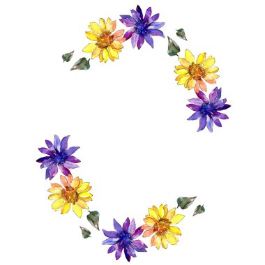 Sulu boya renkli güller çiçek. Botanik çiçek. Çerçeve kenarlığı süsleme Meydanı. Arka plan, doku, sarıcı desen, çerçeve veya kenarlık için Aquarelle kır çiçeği.