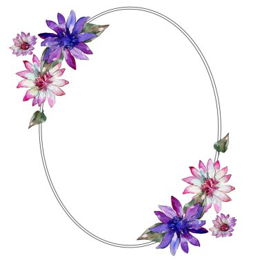 Sulu boya renkli güller çiçek. Botanik çiçek. Çerçeve kenarlığı süsleme Meydanı. Arka plan, doku, sarıcı desen, çerçeve veya kenarlık için Aquarelle kır çiçeği.