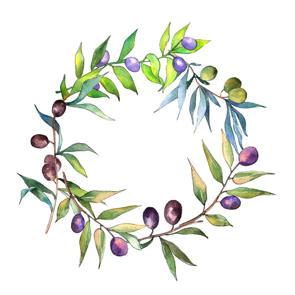 Olive tree in a watercolor style. Frame border ornament square. Full name of the plant: Branches of an olive tree. Aquarelle olive tree for background, texture, wrapper pattern, frame or border.