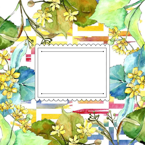 水彩椴树绿叶 叶植物植物园花叶 框边框装饰广场 包装图案 框架或边框的水彩画叶 — 图库照片