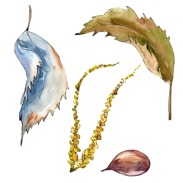 甜栗子叶 叶植物植物园花叶 独立的插图元素 包装图案 框架或边框的水彩画叶 — 图库照片