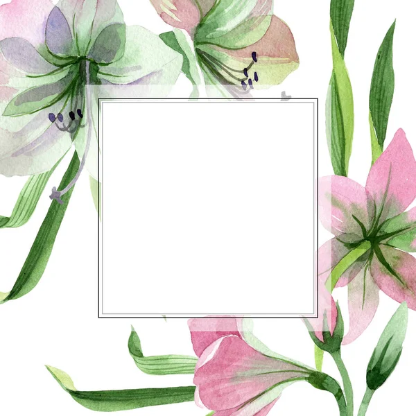 Aquarel Roze Amarylis Bloem Floral Botanische Bloem Frame Grens Ornament — Stockfoto