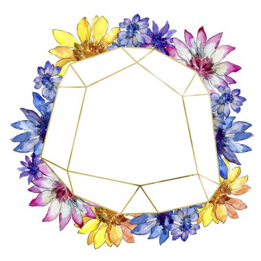 Sulu boya renkli güller çiçek. Botanik çiçek. Çerçeve kenarlığı süsleme Meydanı. Arka plan, doku, sarıcı desen, çerçeve veya kenarlık için Aquarelle kır çiçeği.