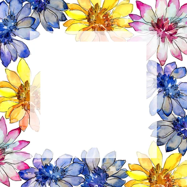 Watercolor Colorful African Daisy Flower Floral Botanical Flower Frame Border — Stock Photo, Image