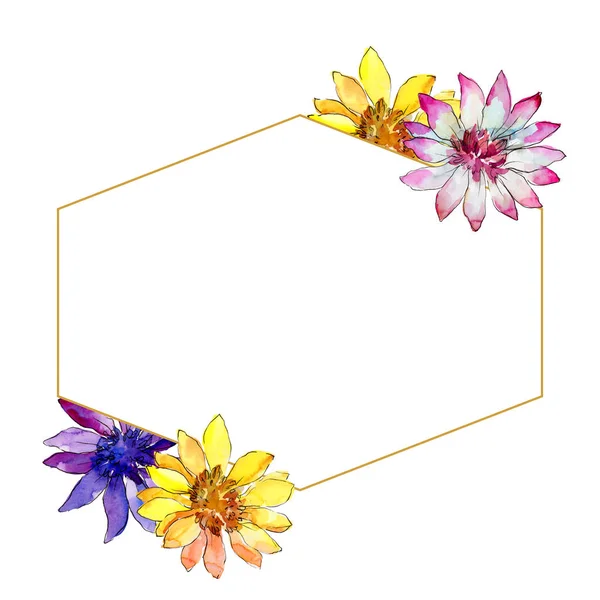 Aquarel Kleurrijke Afrikaanse Daisy Bloem Floral Botanische Bloem Frame Grens — Stockfoto