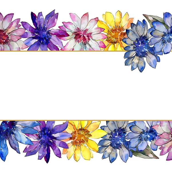 Watercolor Colorful African Daisy Flower Floral Botanical Flower Frame Border — Stock Photo, Image