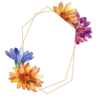 Sulu boya renkli güller çiçek. Botanik çiçek. Çerçeve kenarlığı süsleme Meydanı. Arka plan, doku, sarıcı desen, çerçeve veya kenarlık için Aquarelle kır çiçeği.