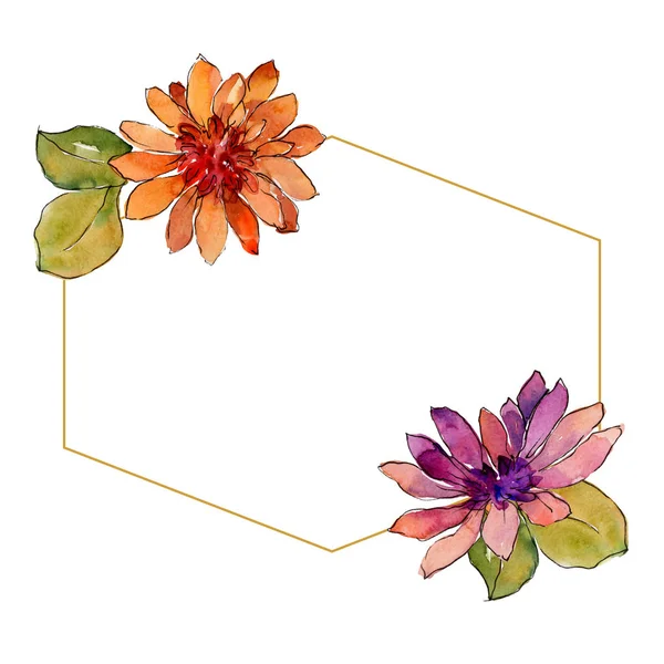 Aquarel Kleurrijke Afrikaanse Daisy Bloem Floral Botanische Bloem Frame Grens — Stockfoto