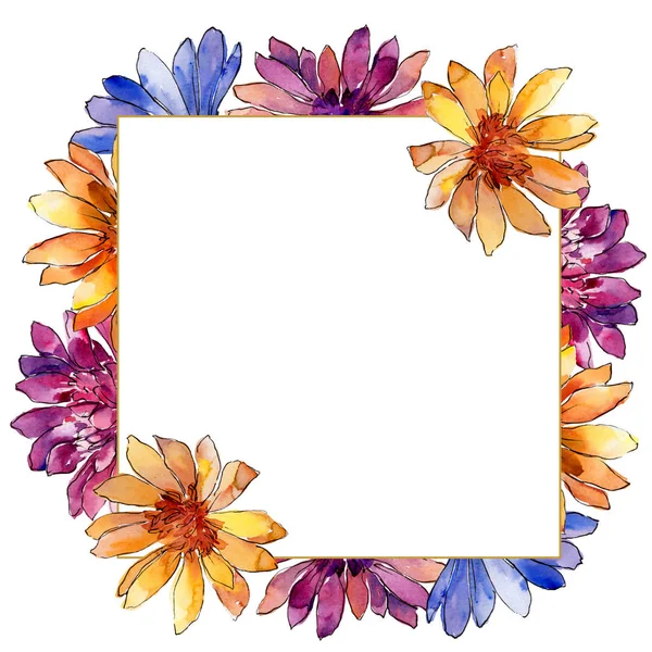 Aquarel Kleurrijke Afrikaanse Daisy Bloem Floral Botanische Bloem Frame Grens — Stockfoto