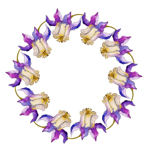 Akvarell Kék Aquilegia Virág Virágos Botanikai Virág Test Határ Dísz — Stock Fotó