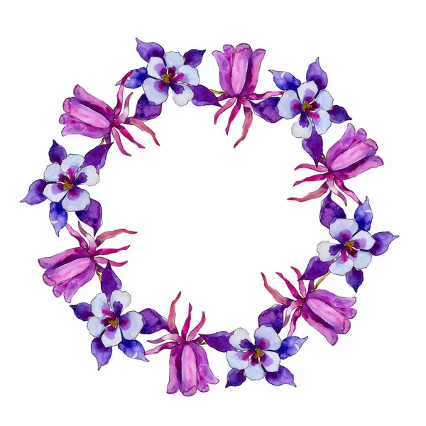 Akwarela Orlik Niebieski Kwiat Botaniczny Kwiat Kwiatowy Ramki Granicznej Ornament — Zdjęcie stockowe