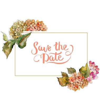 Suluboya kırmızı ve sarı gortenzia çiçek. Botanik çiçek. Çerçeve kenarlığı süsleme Meydanı. Arka plan, doku, sarıcı desen, çerçeve veya kenarlık için Aquarelle kır çiçeği.