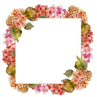 Suluboya kırmızı ve sarı gortenzia çiçek. Botanik çiçek. Çerçeve kenarlığı süsleme Meydanı. Arka plan, doku, sarıcı desen, çerçeve veya kenarlık için Aquarelle kır çiçeği.