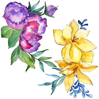 Sulu boya renkli buket çiçek. Botanik çiçek. İzole illüstrasyon öğesi. Arka plan, doku, sarıcı desen, çerçeve veya kenarlık için Aquarelle kır çiçeği.