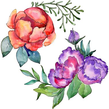 Sulu boya renkli buket çiçek. Botanik çiçek. İzole illüstrasyon öğesi. Arka plan, doku, sarıcı desen, çerçeve veya kenarlık için Aquarelle kır çiçeği.