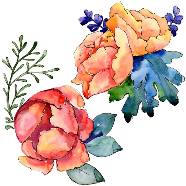 Acquerello Colorato Fiore Bouquet Fiore Botanico Floreale Elemento Illustrazione Isolato — Foto Stock