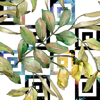 Sonbahar yeşil akasya bırakır. Yaprak bitki botanik bahçe çiçek yaprakları. Sorunsuz arka plan deseni.