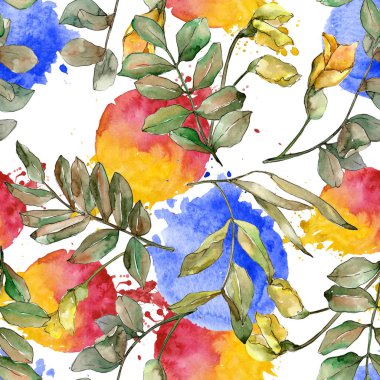 Sonbahar yeşil akasya bırakır. Yaprak bitki botanik bahçe çiçek yaprakları. Sorunsuz arka plan deseni.