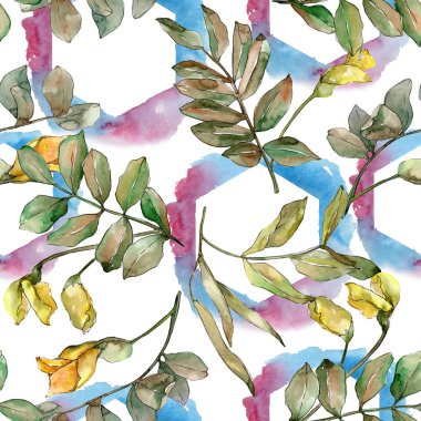 Sonbahar yeşil akasya bırakır. Yaprak bitki botanik bahçe çiçek yaprakları. Sorunsuz arka plan deseni.