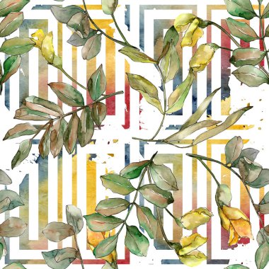 Sonbahar yeşil akasya bırakır. Yaprak bitki botanik bahçe çiçek yaprakları. Sorunsuz arka plan deseni.