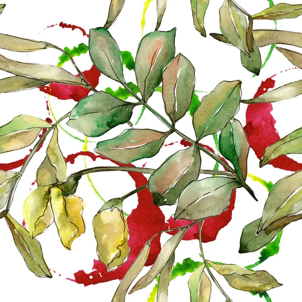 Осенние зелёные листья акации. Цветочная листва ботанического сада. Бесшовный рисунок фона . — стоковое фото