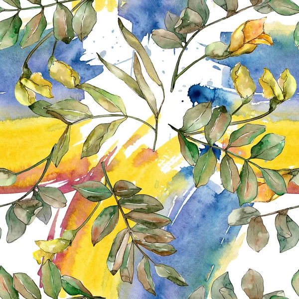Gröna acacia höstlöv. Leaf växt botaniska trädgård blommig bladverk. Sömlös bakgrundsmönster. — Stockfoto