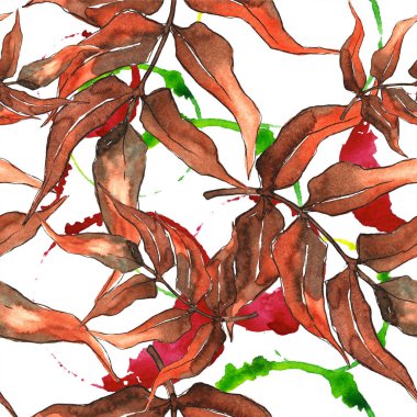 Fern bırakır. Yaprak fren bitki botanik bahçe çiçek yaprakları. Sorunsuz arka plan deseni. Kumaş duvar kağıdı yazdırma doku. Aquarelle yaprak için arka plan, doku, sarıcı desen, çerçeve veya kenarlık.