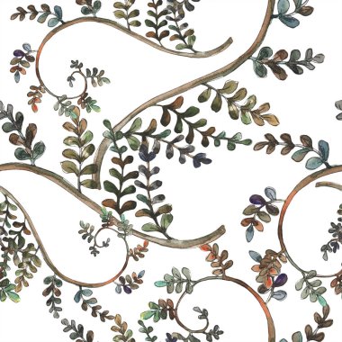 Fern bırakır. Yaprak fren bitki botanik bahçe çiçek yaprakları. Sorunsuz arka plan deseni. Kumaş duvar kağıdı yazdırma doku. Aquarelle yaprak için arka plan, doku, sarıcı desen, çerçeve veya kenarlık.