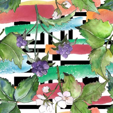 Suluboya mor blackbarry bitki. Botanik çiçek. Sorunsuz arka plan deseni. Kumaş duvar kağıdı yazdırma doku. Arka plan, doku, sarıcı desen, kenarlık için Aquarelle kır çiçeği.