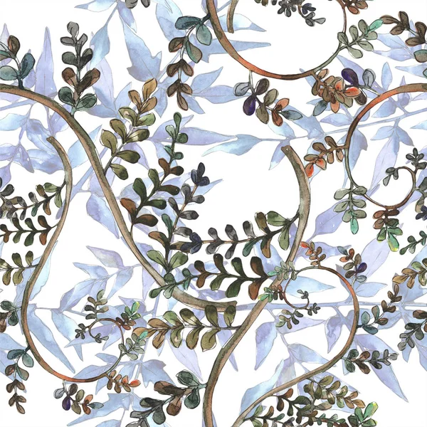 Fern bırakır. Yaprak fren bitki botanik bahçe çiçek yaprakları. Sorunsuz arka plan deseni. Kumaş duvar kağıdı yazdırma doku. Aquarelle yaprak için arka plan, doku, sarıcı desen, çerçeve veya kenarlık.