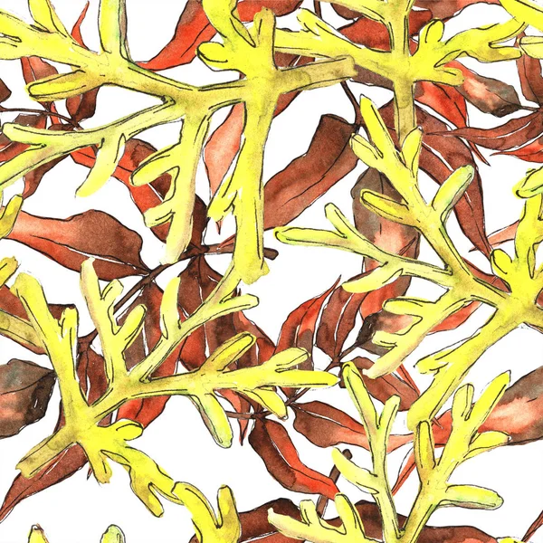 蕨类叶子 叶子刹车植物植物园花卉叶子 无缝的背景图案 织物墙纸打印纹理 包装图案 框架或边框的水彩画叶 — 图库照片